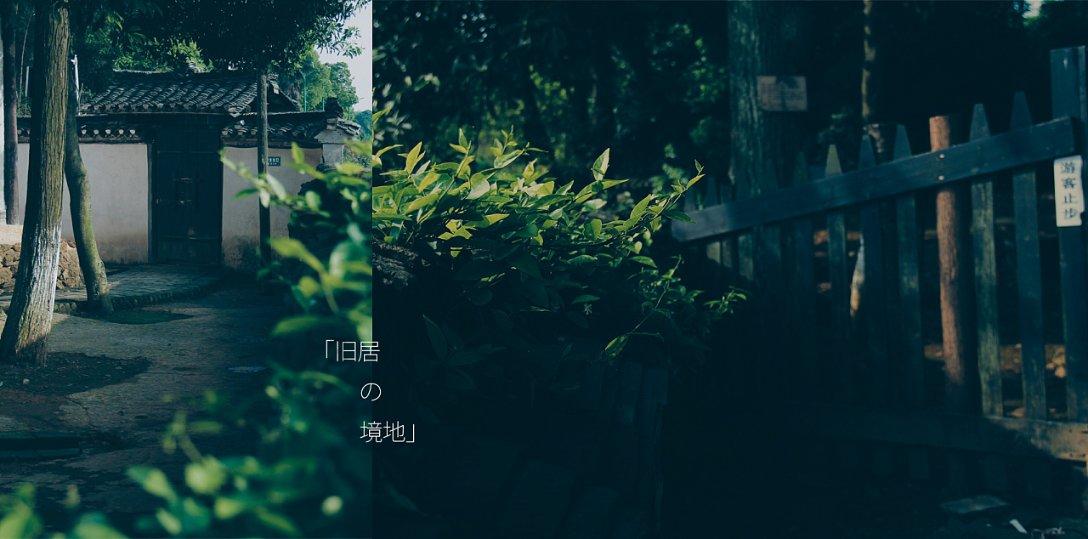 逃离违建房屋7