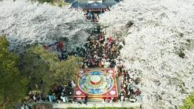 “为希望点‘睛’公益行动”启动仪式暨“希望同行 暖冬行动”新年慰问活动举行