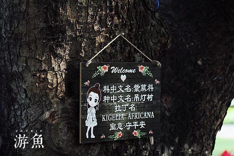 深海鱼救援