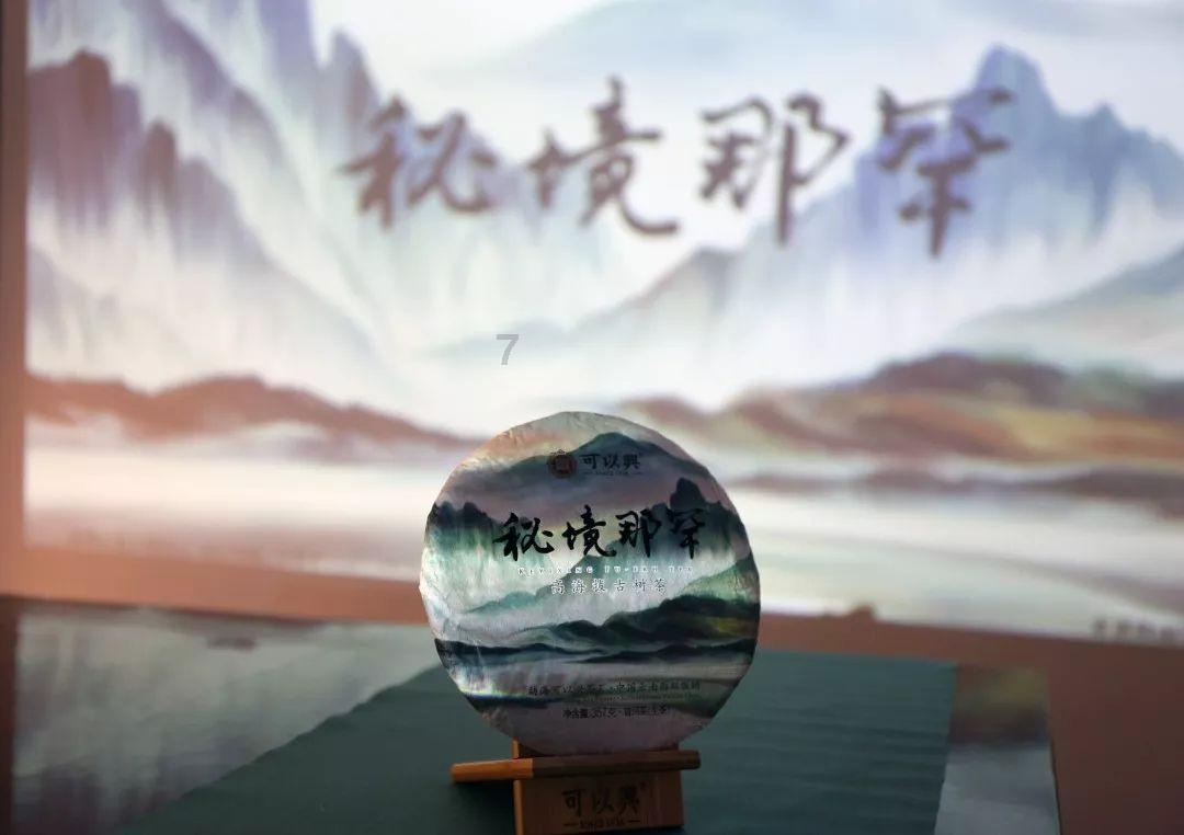 药品包装真空检漏仪:守护用药安全