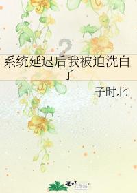 生化危机2：重置版
